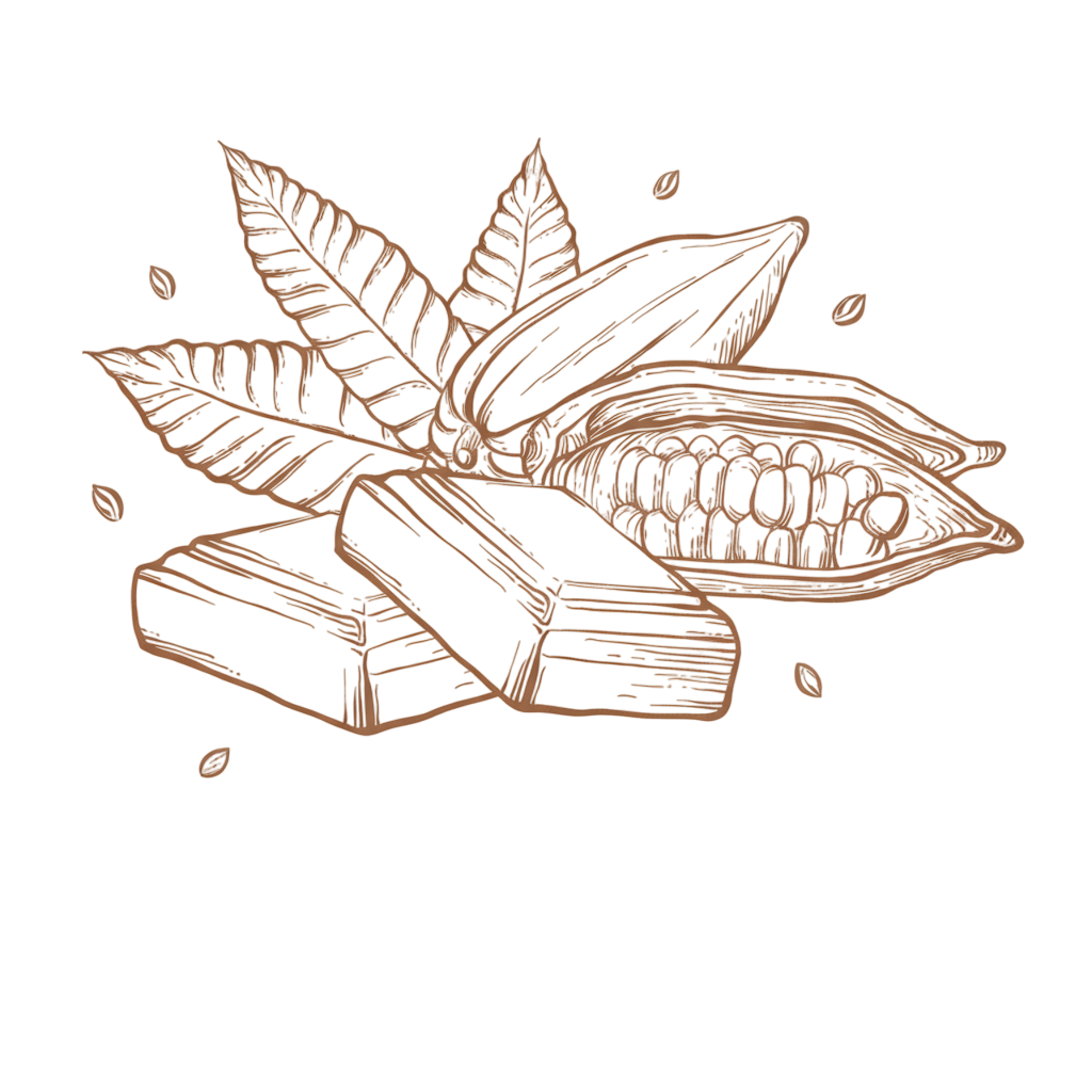 profumi-al-cioccolato_ profumi al cioccolato